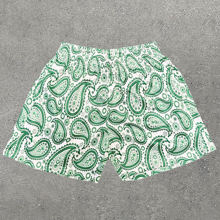 Casual Paisley Print Mesh Shorts